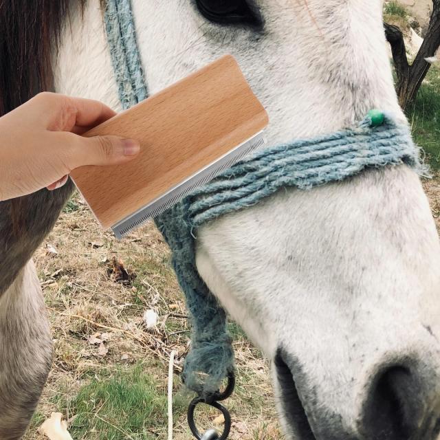 Escova Deshedding Aço Inox e Madeira para Gado e Cavalos
