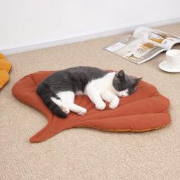 Soft Cotton Leaf Shaped Bed Mats, Tapete lavável, Cobertor do sono, Home Pets, Almofada dupla face, Tapetes, Gatinho, Cachorro, Cão - Image 3