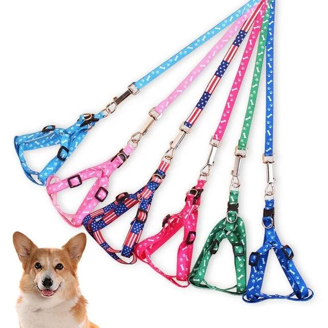 Trela de nylon retrátil automática para cães e gatos, extensão de chumbo durável, caminhada e corrida de cachorros, roleta para cães, 3m, 5m - Image 1
