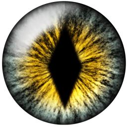 Cabochões de vidro redondos com olhos de gato e dragão, acessórios de jóias artesanais, 10mm/12mm/14mm/16mm/18mm/20mm/25mm, h014, 24pcs - Image 6