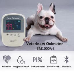 Oxímetro de pulso veterinário BM1000A-I palm pulse oxímetro dispositivo importante e exato para verificar a saturação de oxigênio e taxa de pulso - Image 1