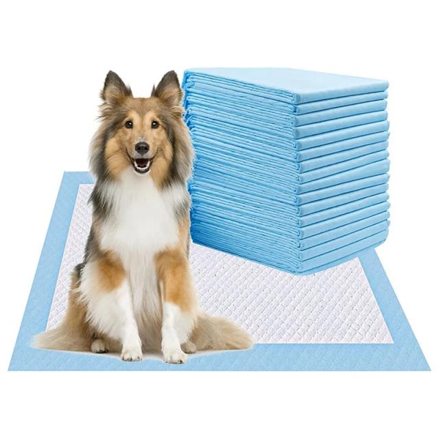 Tapetes Absorventes Fortes para Treinamento de Cães - Pet Descartável e Prático
