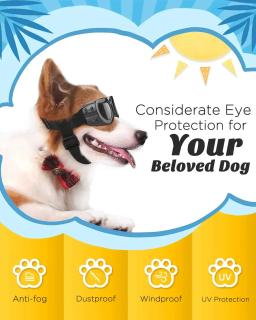 Cão óculos de sol raça pequena cães óculos de proteção uv olho wear à prova de vento anti-nevoeiro pet óculos com alça ajustável suprimentos para cães - Image 5