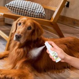 Spray para cães, Bálsamo Pata, Auxílio Cura, Reparo da Pele, Anti Coceira, Spray Hidratante para Cães, 30ml - Image 6