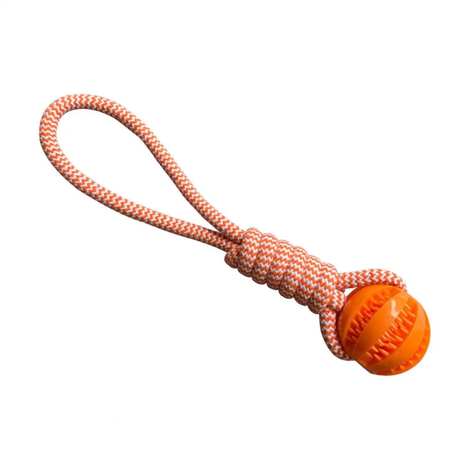 Bola de borracha para cães pequenos e médios, brinquedo mastigador, resistente a mordidas, interativo, pet, limpeza dos dentes - Image 1