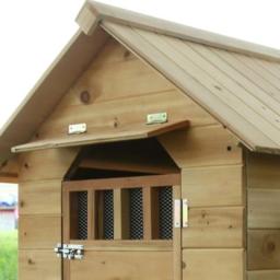 Outdoor Villa Casa para cão grande, Cage Products, Casa para cães, Casa Suprimentos, RR50HK - Image 4