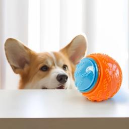 Mordida-resistente interativo mastigação bola brinquedo para cão, treinamento, bola molar, cão suprimentos, filhote de cachorro - Image 2