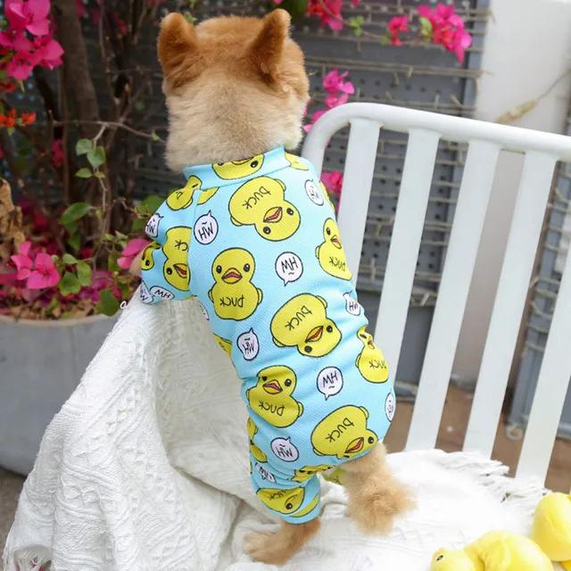 Camisola de pelúcia de duas pernas para pet, roupas estampadas, pulôver primavera, outono e inverno, cachorro, gato, peluche - Image 4