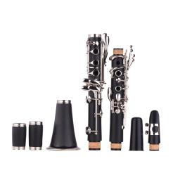 ABS 17-chave clarinete com estojo, Bb plana, luvas, pano de limpeza, Mini chave de fenda, Reed Case, 10pcs palhetas, instrumento de sopro - Image 4