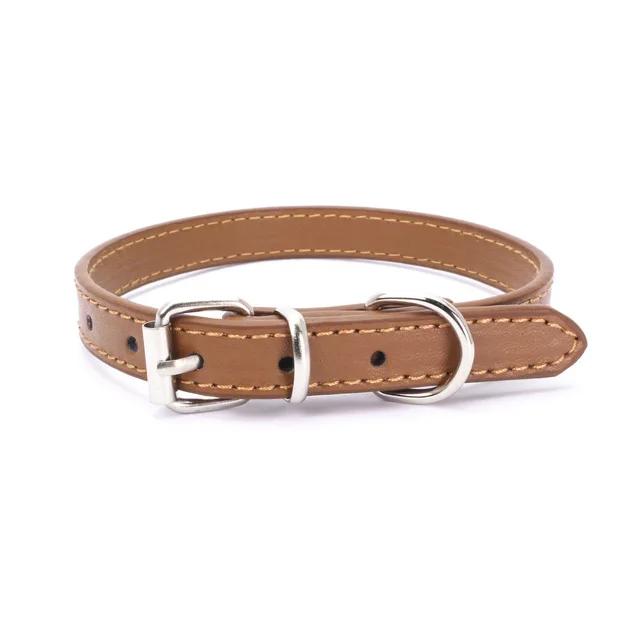 Coleira Ajustável para Cães e Gatos com Fivela e Corrente - Suprimentos Ideal para Animais de Estimação de Pequeno e Médio Porte