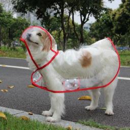 Impermeável transparente com capuz para cães médios e grandes, Casacos de chuva impermeáveis, Borda colorida, Pet Shop - Image 2