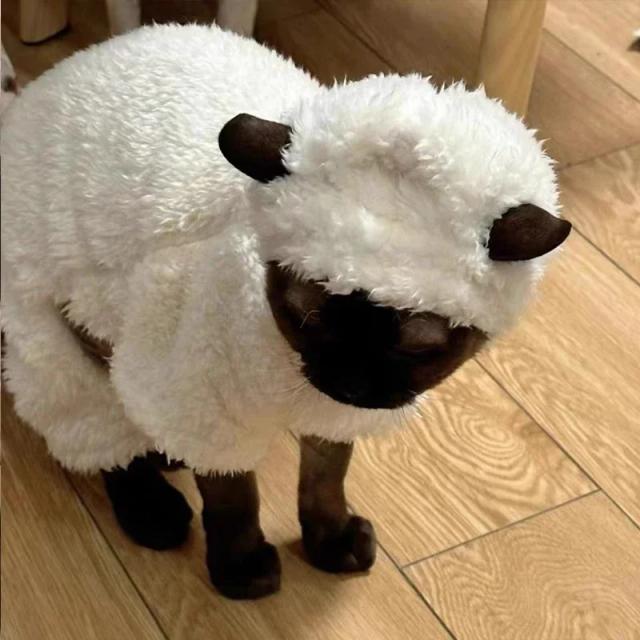 Pulôver de Veludo de Cordeiro Dupla Face para Gatos - Conforto e Estilo para Outono e Inverno 2022