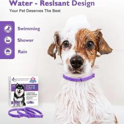 Coleiras de feromona calmantes ajustáveis para animais de estimação, coleira confortável, aliviar a ansiedade, acessórios para cães grandes, cachorro, gatinho, 3, 4 pcs - Image 4