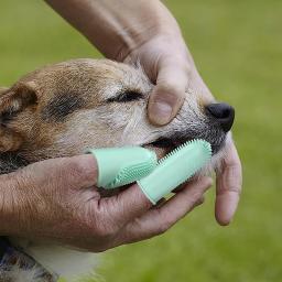 Silicone Finger Pet Toothbrush Escovas de dentes super macias para cães Ferramenta de limpeza de dentes Mau cuidado da respiração Nontoxic Cat Cleaning Supplies - Image 2