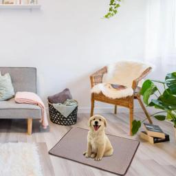 Tapete de resfriamento portátil impermeável para cães e gatos Almofada lavável, cama respirável para animais de estimação, cobertor antiderrapante, suprimentos, verão - Image 4