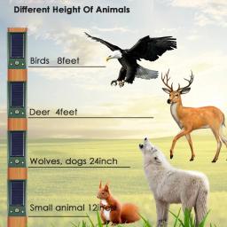 Ultrasonic Electric Bird Repeller, Defesa Solar, Repelente Infravermelho, Rato, Pombo, Assustador, Rato, Gato, Cão, Águia, Anti Birds - Image 2