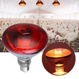220v lâmpada de aquecimento aves réptil planta anfíbio 100/150/200/275w lâmpada de aquecimento pet gado isolamento infravermelho aquecimento - Image 1