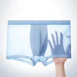 4 pçs boxer shorts roupa interior de seda gelo dos homens legal cuecas respirável sexy calcinha fina u convexo lingerie lotes por atacado L-6XL - Image 2