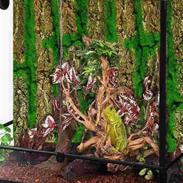 Terrário de Cortiça com Árvores e Tubo de Esgoto: Decoração Perfeita para Répteis e Animais de Estimação