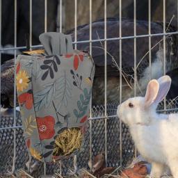 Saco De Alimentação De Feno Para Pequenos Animais De Estimação, Alimentador De Coelho, Grama, Chinchilas, Porco Holandês, Comida - Image 4