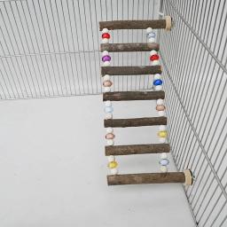 Pássaro de madeira Swing Ladder Toy Roedor Stand Holder Corda de Escalada de Papagaio Escada de Rato para Calopsitas Conures Pet Supplies - Image 4
