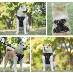 Benepaw-No Pull Dog Harness, No Choke, fácil alça de controle, Reflective Pet Harness, ajustável macio acolchoado colete do cão, 2 Clipes Trela - Image 5