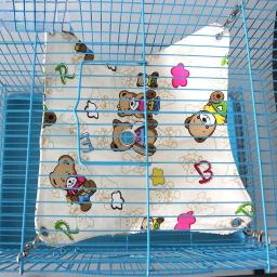 Cama de rede para animais pequenos, confortável, pendurado, papagaio, deslizante do açúcar, hamster, furão, esquilo, cobaia, 13x11" - Image 3