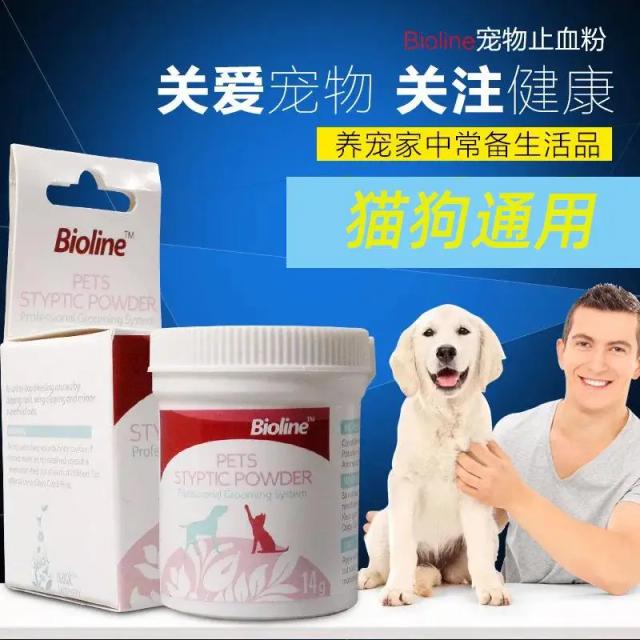 Cuidados Pet: Suprimentos para Limpeza e Embelezamento de Unhas para Bichons e Gatos com Pó Estático