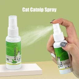 Catnip Spray para gatinhos e gatos, atrativo seguro, ingredientes saudáveis, fácil de usar, presentes para animais, 50ml - Image 3