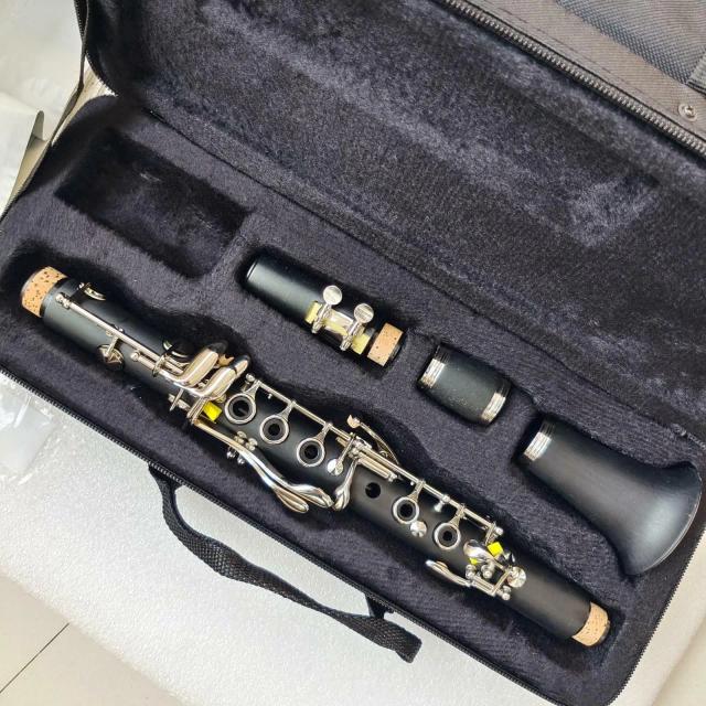 Clarinete de Qualidade com Estojo Eb 11 Chaves em Baquelite Niquelado - Ideal para Presentear Crianças