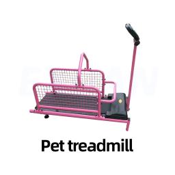 Esteira animal para cão, pet fornecimentos, várias opções como velocidade, distância de tempo e calorias, 200W - Image 1