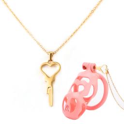 Acessório Chastity Cage para adultos, colar multiestilo, jogos para adultos, brinquedos sexuais para presentes de anfitriã, fechaduras integradas, acessórios chaves - Image 1