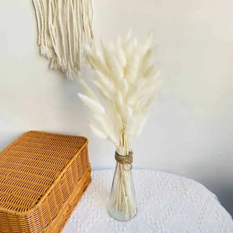 30 pçs flores secas natureza fofo pampas grama para festa de casamento decoração coelho cauda de coelho canas flores artificiais decoração de casa - Image 1