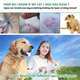 Dewel gato cachorro colar anti pulga carrapatos mosquitos ao ar livre ajustável pet coleiras 8 meses de proteção a longo prazo acessórios para animais de estimação - Image 5