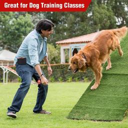 Cão portátil tratar malote com treinamento do cão clicker para cinto cão tratar saco com clipe e abertura magnética mãos-livres pet treat ba - Image 6