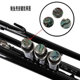 3 pçs/set botões de dedo trompete tampa da válvula instrumentos musicais abalone escudo para trompete reparação instrumentos peças acessórios - Image 1