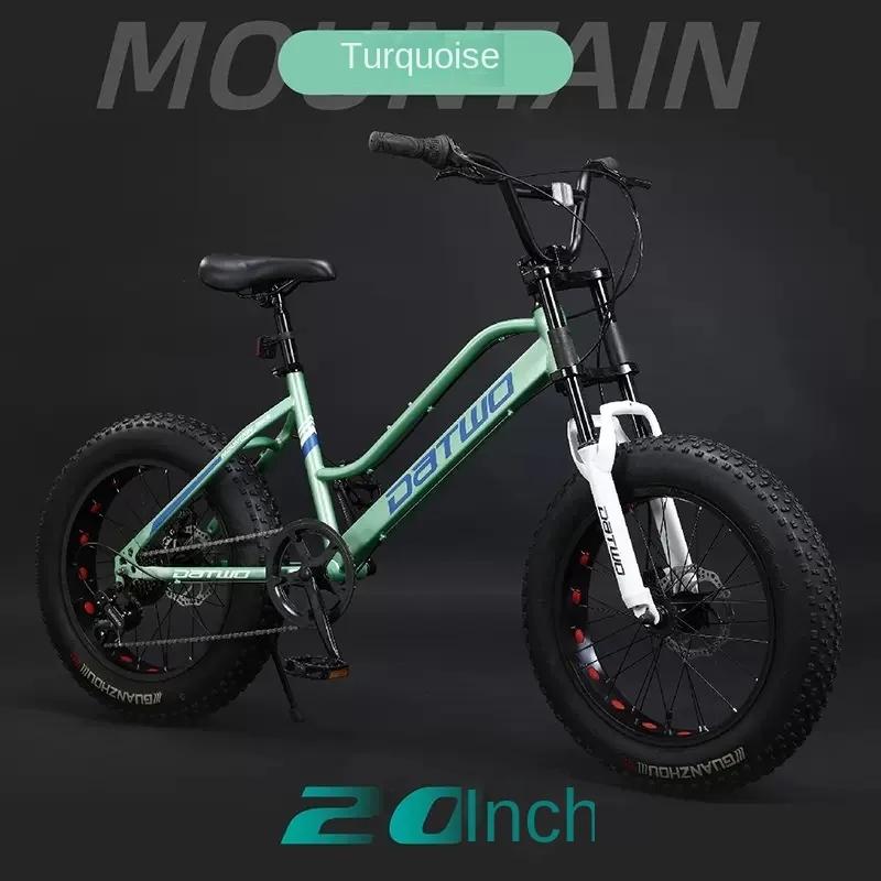 Fj bicicleta de montanha de aço de alto carbono, velocidade variável, off-road, praia, neve, 20 tamanhos de largura, pneu para estudantes do sexo masculino e feminino - Image 1