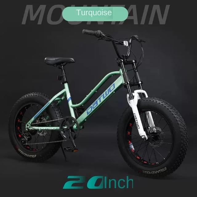 Fj Bicicleta de Montanha Aço Carbono 20 Velocidades Pneu Largo