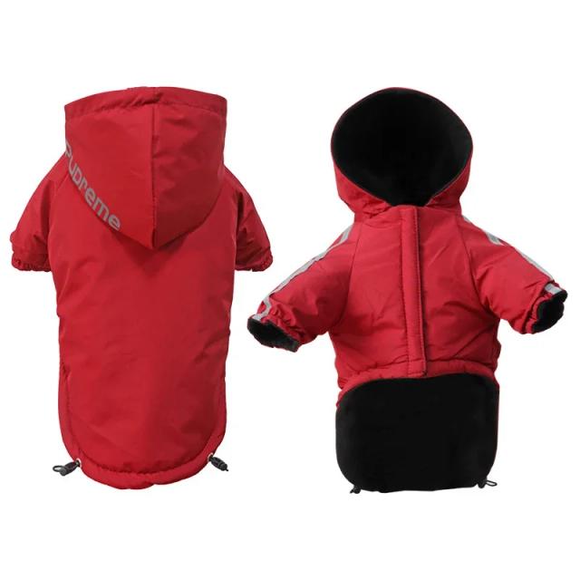 Jaqueta impermeável e aquecida com capuz para cães pequenos e gatos, ideal para outono e inverno