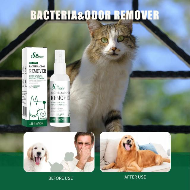 Desodorizante Spray para Pets com Óleo de Lavanda - Perfume para Cães e Gatos, Anti-Coceira, 50ml