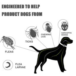 Coleira de pulgas e carraça ajustável para cães e gatos, antimosquitos, repelente de insetos, suprimentos para animais, proteção de 8 meses - Image 3