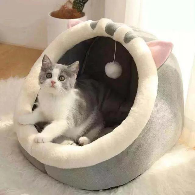 Cama Lavável e Aconchegante para Gatos e Cães, Cesta Macia e Quente com Tapete para Animais de Estimação
