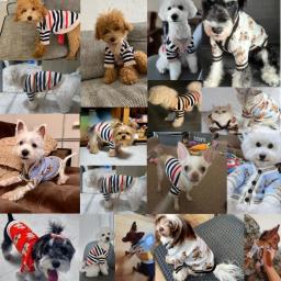 Cardigan de malha listrada para animais, roupas de cachorro, cachorro e gatinho, casaco chihuahua, suéter quente, roupas macias, moda para cães e gatos, inverno - Image 2