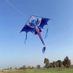 Dragon Kites Flying Toys para Crianças, Professional Wind Kite, Jogos ao ar livre, Brinquedos Esportivos, Flying Bird Koi, Frete Grátis - Image 1