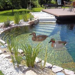 Nordic Flutuante Duck Decoy, Patos Simulação, Caça Duck, Piscina Jardim, Jarda, Lago, Decoração Home, Acessórios de Jardim - Image 2