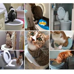 Kit De Treinamento De Banheiro De Gato Com Caixa De Lixo E Tapete De Lixo, Diga Boa Sorte Para Pisos Sujo, Treinamento Eficaz E Ajudas De Comportamento - Image 6