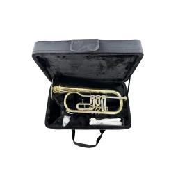 SEASOUND-profissional BB Tom Flugelhorn, giratório pistão latão trompete, instrumento de sopro, superfície do ouro, JYFG411, OEM - Image 5
