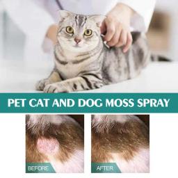 Spray de musgo para animais de estimação, problemas de pele de gato e cachorro, 30ml, cuidados de limpeza para animais de estimação, spray anti-coceira, alívio instantâneo, suprimentos de cuidados saudáveis para animais de estimação - Image 5