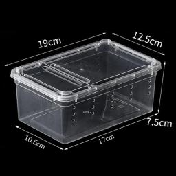 Terrário portátil do réptil para caracóis, caixa alimentação do réptil, hamster, escorpião - Image 6