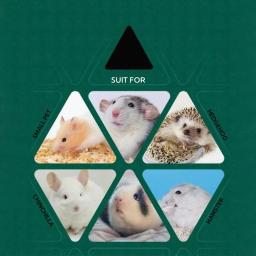 Cute Mushroom House Pet Bowl, Gaiola de Hamster, Coelho Pequeno, Furão, Chinchila, Produtos Pet, Fonte de Água, Artigos Pet, 2024 - Image 6